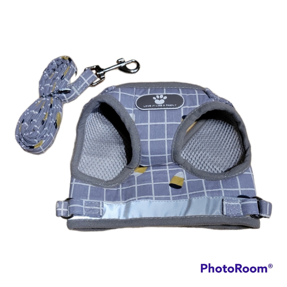 Harness and leash combo for dog